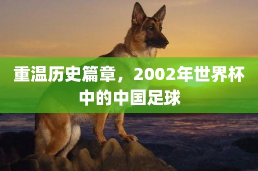 重温历史篇章，2002年世界杯中的中国足球