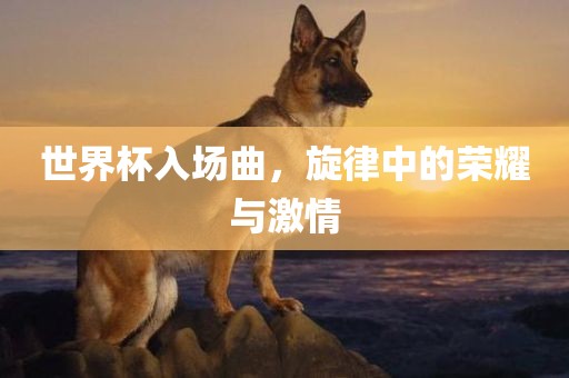 世界杯入场曲，旋律中的荣耀与激情