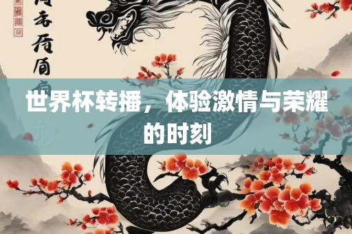 世界杯转播，体验激情与荣耀的时刻