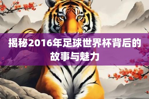 揭秘2016年足球世界杯背后的故事与魅力漯河市盈旭机械设备有限公司