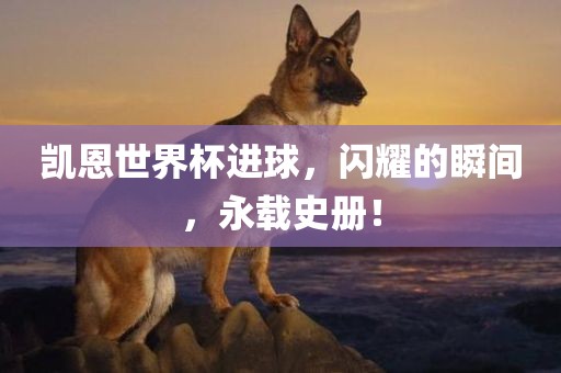 凯恩世界杯进球，闪耀的瞬间，永载史册！