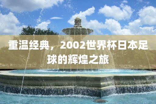 重温经典，2002世界杯日本足球的辉煌之旅漯河市盈旭机械设备有限公司