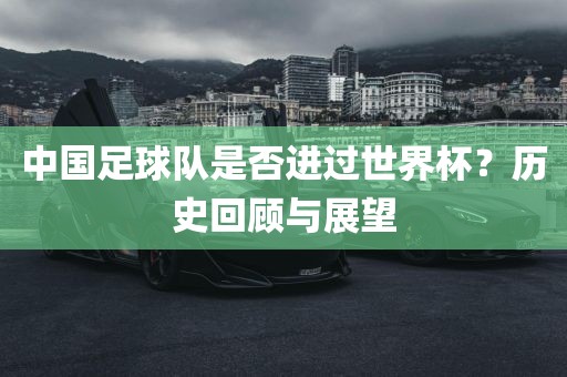 中国足球队是否进过世界杯？历史回顾与展望