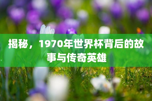 zhengliyun 第9页