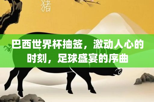 巴西世界杯抽签，激动人心的时刻，足球盛宴的序曲漯河市盈旭机械设备有限公司