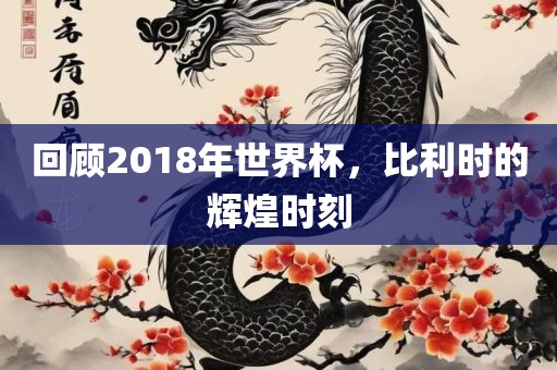 回顾2018年世界杯，比利时的辉煌时刻漯河市盈旭机械设备有限公司