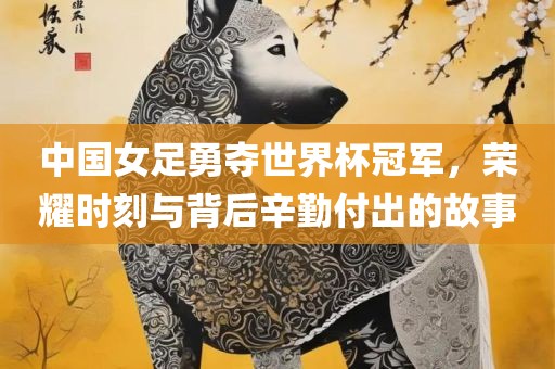中国女足勇夺世界杯冠军，荣耀时刻与背后辛勤付出的故事