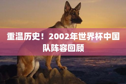 重温历史！2002年世界杯中国队阵容回顾