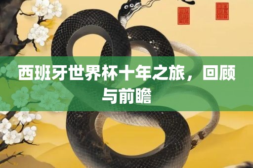 西班牙世界杯十年之旅，回顾与前瞻