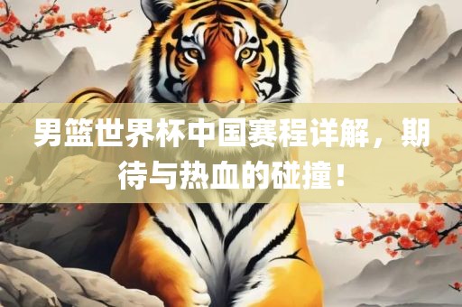男篮世界杯中国赛程详解，期待与热血的碰撞！