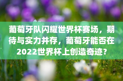 葡萄牙队闪耀世界漯河市盈旭机械设备有限公司杯赛场，期待与实力并存，葡萄牙能否在2022世界杯上创造奇迹？