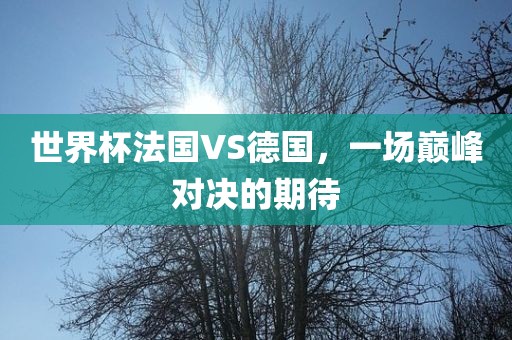 世界杯法国VS德国，一场巅峰对决的期待漯河市盈旭机械设备有限公司