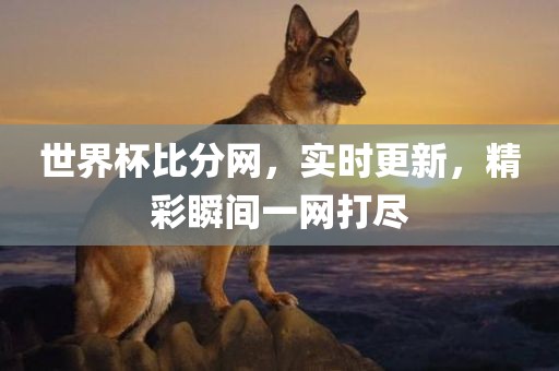 世界杯比分网，实时更新，精彩瞬间一网打尽