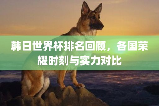 韩日世界杯排名回顾，各国荣耀时刻与实力对比漯河市盈旭机械设备有限公司
