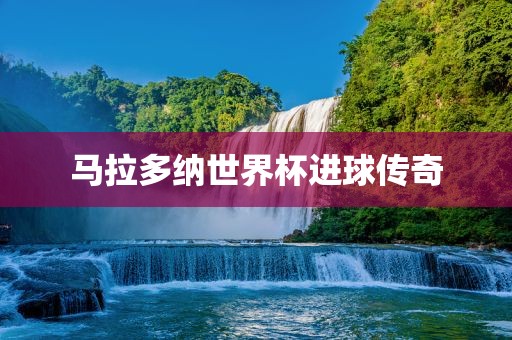 马拉多纳世界杯进球传奇漯河市盈旭机械设备有限公司
