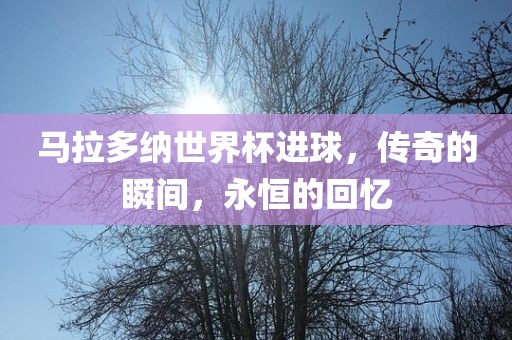 马拉多纳世界杯进球，传奇的瞬间，永恒的回忆漯河市盈旭机械设备有限公司
