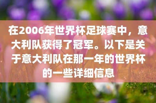 在2006年世界杯足球赛中，意大利队获得了冠军。以下是关于意大利队在那一年的世界杯的一些详细信息漯河市盈旭机械设备有限公司