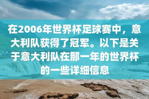在2006年世界杯足球赛中，意大利队获得了冠军。以下是关于意大利队在那一年的世界杯的一些详细信息