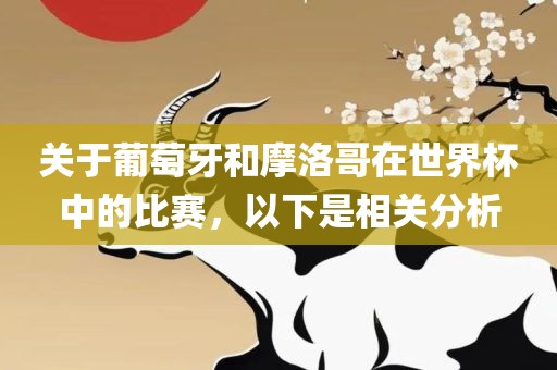 关于葡萄牙和摩洛哥在世界杯中的比赛，以下是相关分析漯河市盈旭机械设备有限公司
