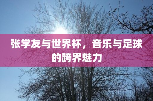 张学友与世界杯，音乐与足球的跨界魅力
