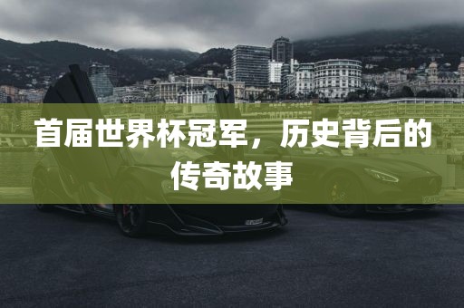 首届世界杯冠军，历史背后的传奇故事漯河市盈旭机械设备有限公司