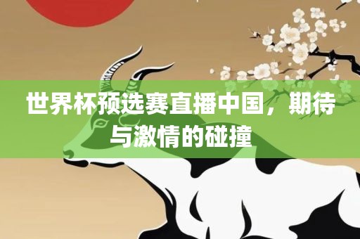 世界杯预选赛直播中国，期待与激情的碰撞