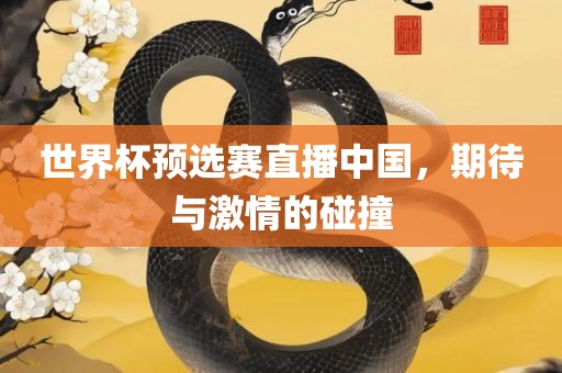 世界杯预选赛直播中国，期待与激情的碰撞漯河市盈旭机械设备有限公司
