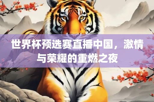 世界杯预选赛直播中国，激情与荣耀的重燃之夜