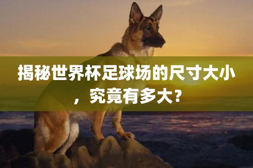 揭秘世界杯足球场的尺寸大小，究竟有多大？