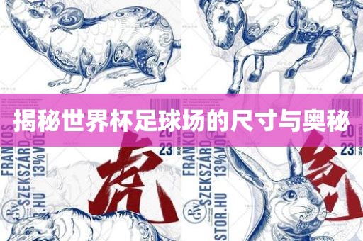 揭秘世界杯足球场的尺寸与奥秘漯河市盈旭机械设备有限公司