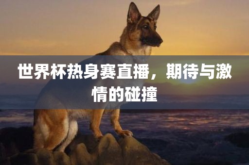 世界杯热身赛直播，期待与激情的碰撞