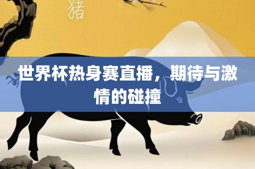 世界杯热身赛直播，期待与激情的碰撞漯河市盈旭机械设备有限公司