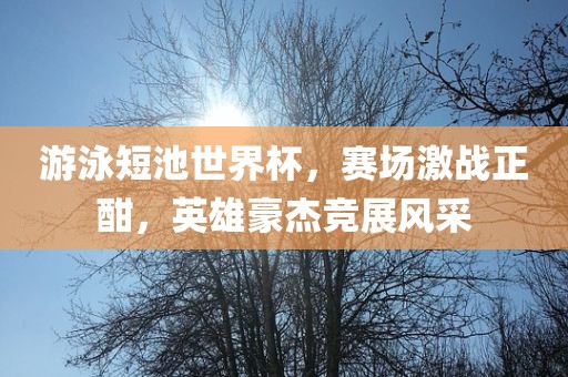 游泳短池世界杯，赛场激战正酣，英雄豪杰竞展风采