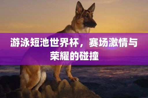 游泳短池世界杯，赛场激情与荣耀的碰撞漯河市盈旭机械设备有限公司
