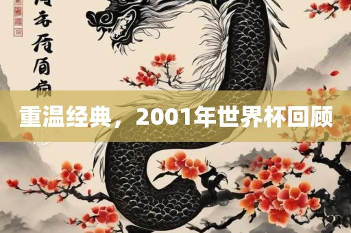 重温经典，2001年世界杯回顾