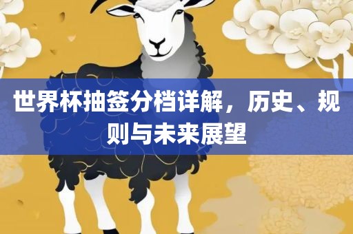世界杯抽签分档详解，历史、规则与未来展望