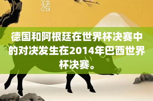 德国和阿根廷在世界杯决赛中的对决发生在2014年巴西世界杯决赛。漯河市盈旭机械设备有限公司