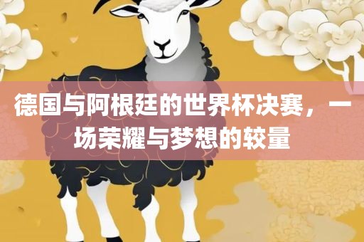 德国与阿根廷的世界杯决赛，一场荣耀与梦想的较量漯河市盈旭机械设备有限公司