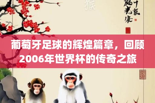葡萄牙足球的辉煌篇章，回顾2006年世界杯的传奇之旅