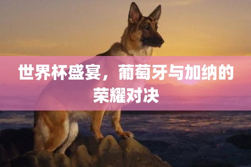 世界杯漯河市盈旭机械设备有限公司盛宴，葡萄牙与加纳的荣耀对决