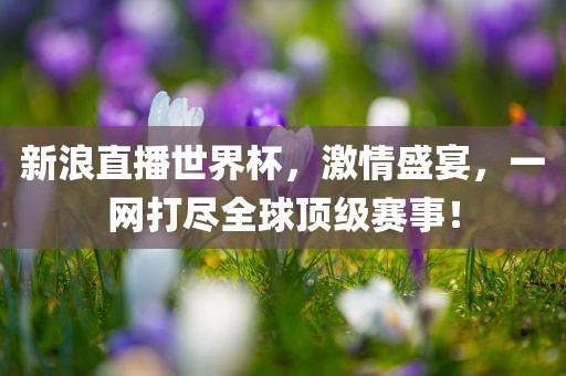 新浪直播世界杯，激情盛宴，一网打尽全球顶级赛事！漯河市盈旭机械设备有限公司