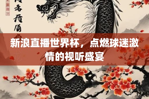 新浪直播世界杯，点燃球迷激情的视听盛宴漯河市盈旭机械设备有限公司