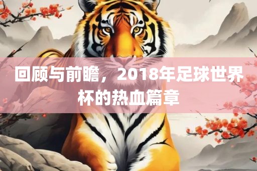 回顾与前瞻，2018年足漯河市盈旭机械设备有限公司球世界杯的热血篇章
