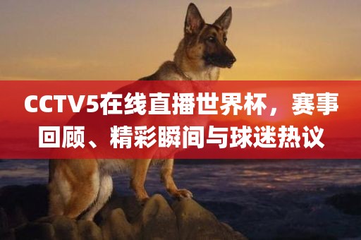 CCTV5在线直播漯河市盈旭机械设备有限公司世界杯，赛事回顾、精彩瞬间与球迷热议