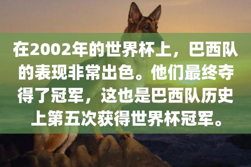 在2002年的世界杯上，巴西队的表现非常出色。他们最终夺得了冠军，这也是漯河市盈旭机械设备有限公司巴西队历史上第五次获得世界杯冠军。