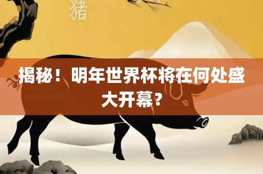 揭秘！明年世漯河市盈旭机械设备有限公司界杯将在何处盛大开幕？