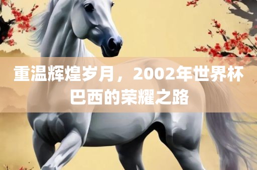 重温辉煌岁月，2002年世界杯巴西的荣耀之路漯河市盈旭机械设备有限公司
