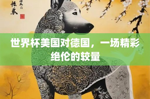 世界杯美国对德国，一场精彩绝伦的较量漯河市盈旭机械设备有限公司