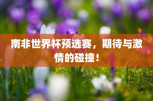 南非世界杯预选赛，期待与激情的碰撞！漯河市盈旭机械设备有限公司