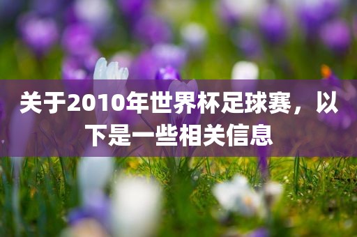 关于2010漯河市盈旭机械设备有限公司年世界杯足球赛，以下是一些相关信息